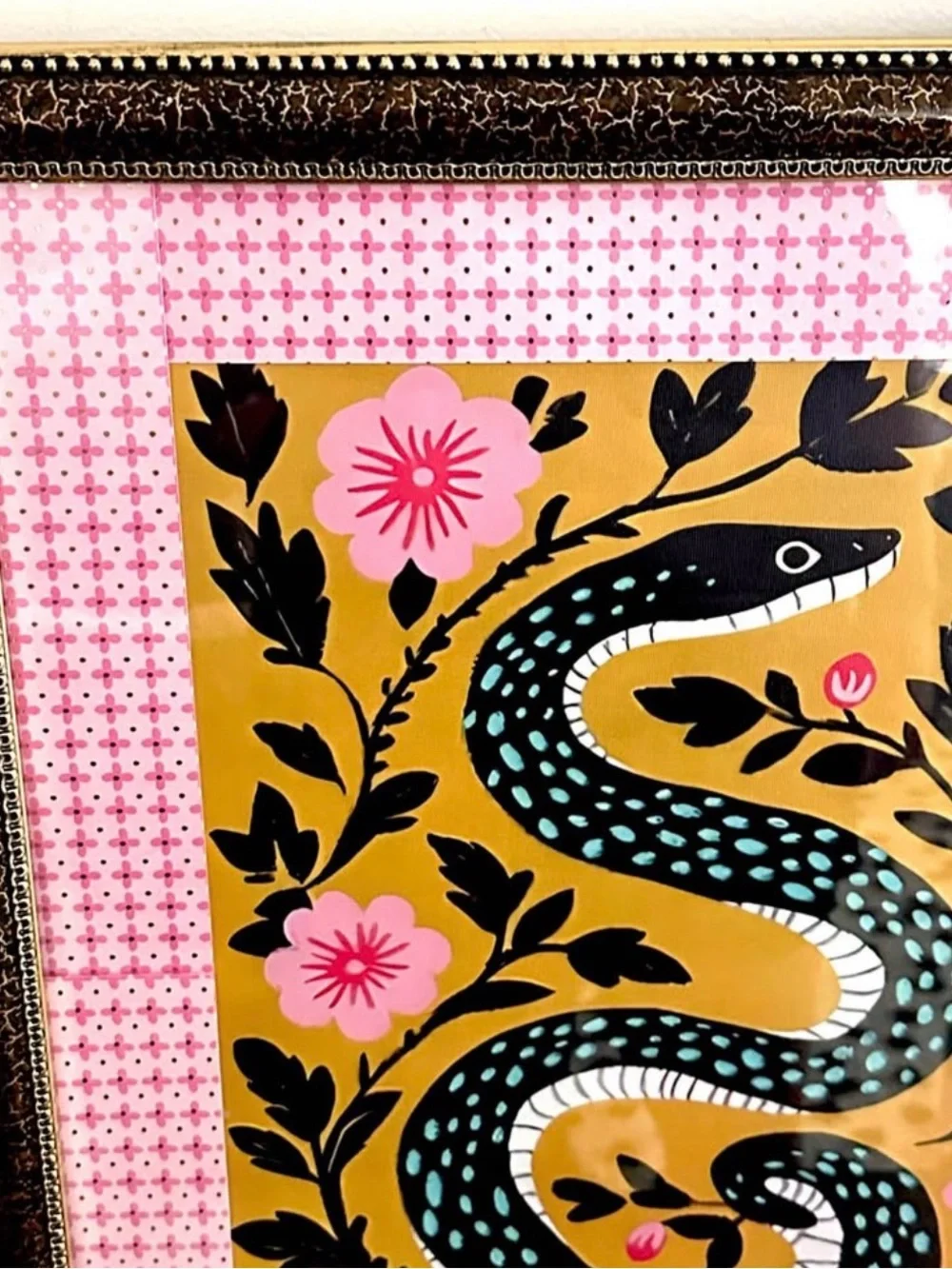 N/A mexican snake